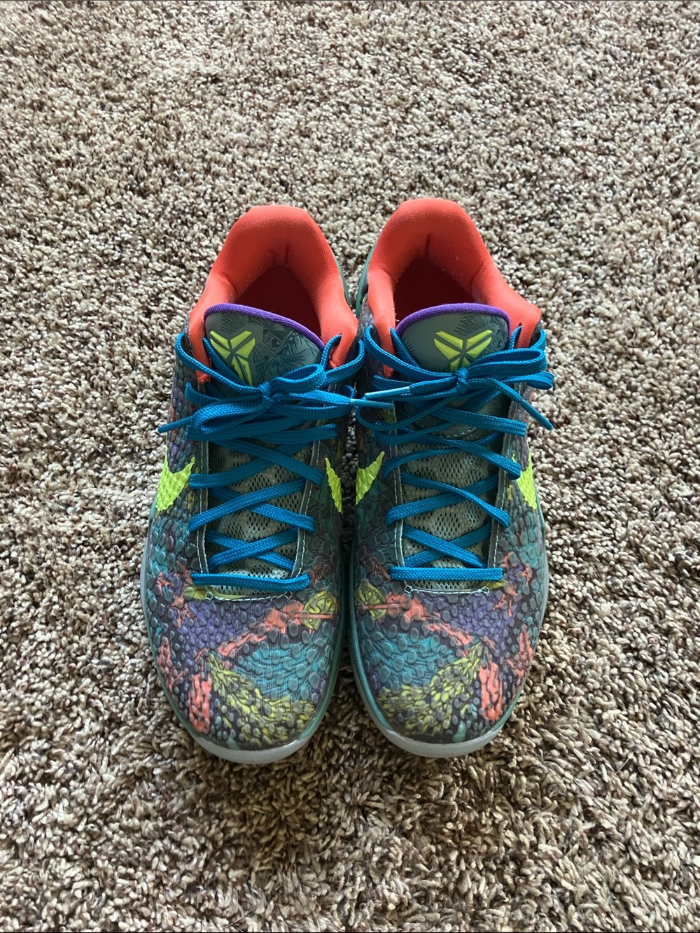 Kobe 6 Prelude mint condition